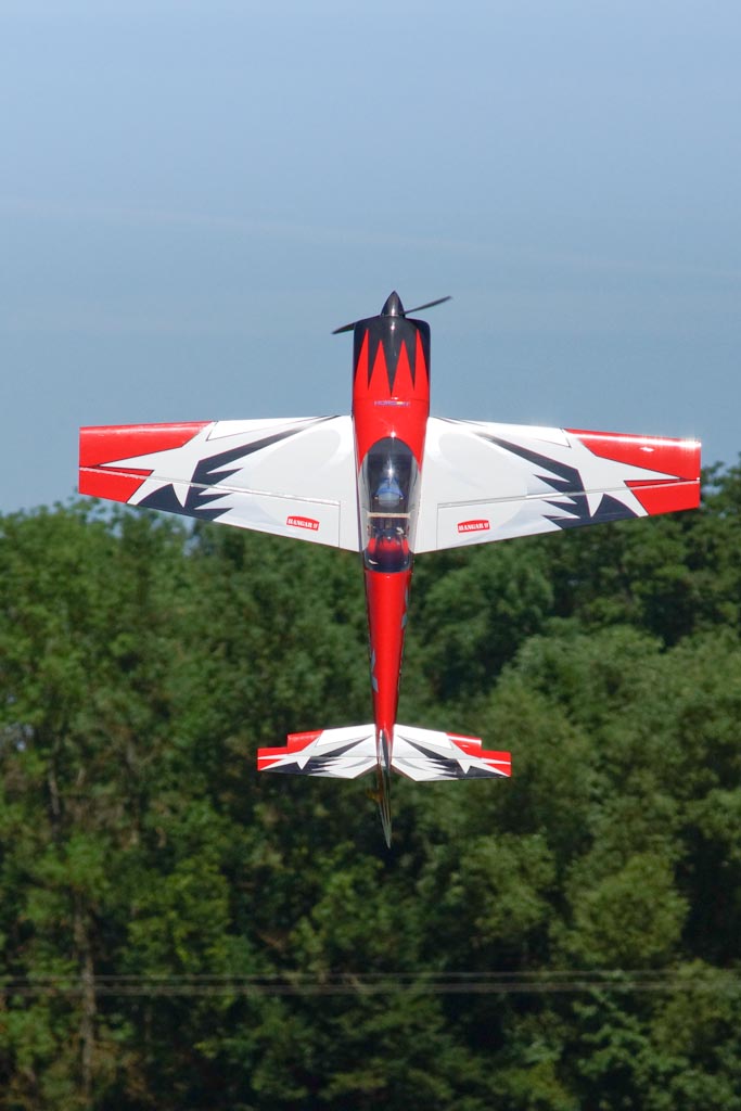 Démonstration aérienne lors d'un meeting d'aéromodélisme